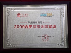 2009年度合肥楼市金牌案场（华盛格林雅地）