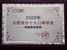 2009年度合肥楼市十大口碑楼盘（华盛格林丽景）