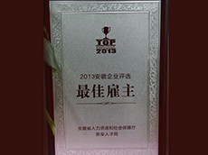 2013年安徽企业评选最佳雇主